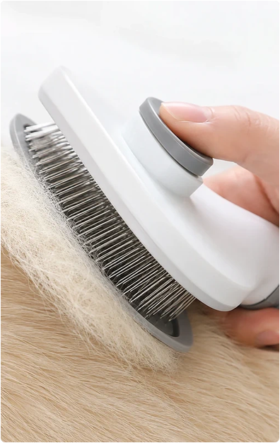Brosse de toilettage pour chiens et chats avec bouton poussoir