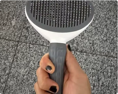 Brosse de toilettage pour animaux vue en main